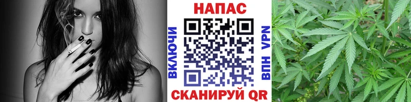 Шишки марихуана Amnesia  что такое   Трубчевск 